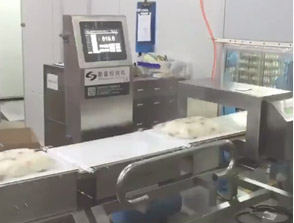 Inline Weighing Checkweigher Machine