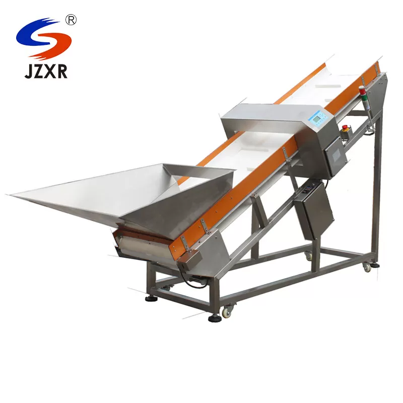 Industrial Metal Detection Systems
